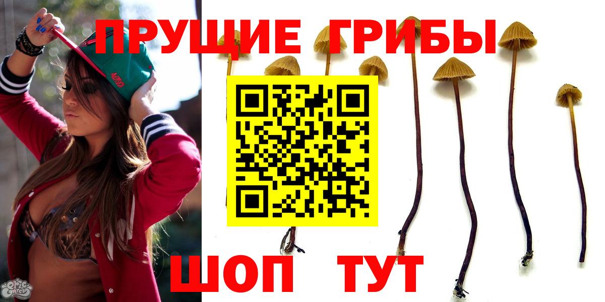 Псилоцибиновые грибы Cubensis Калуга