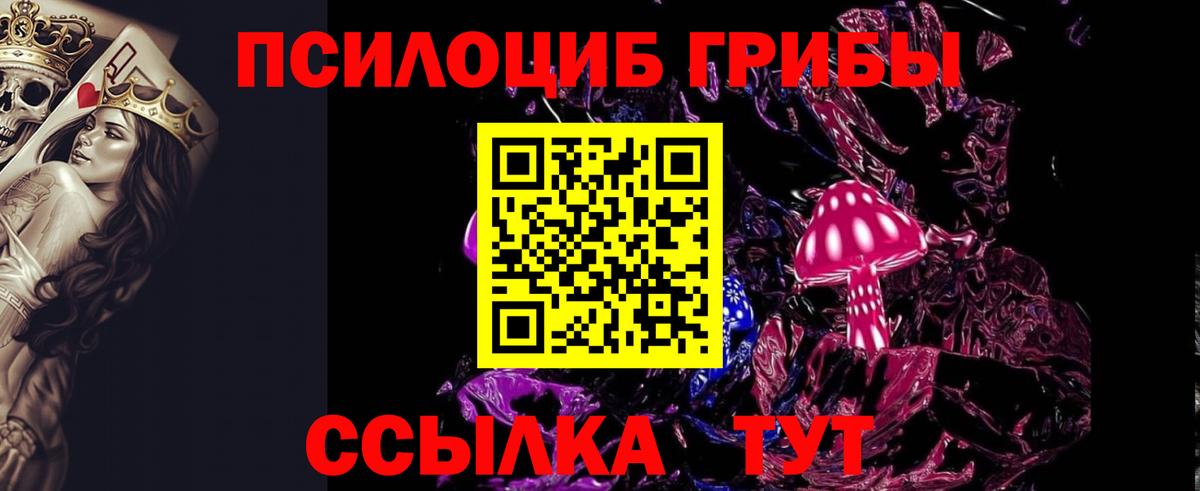 Галлюциногенные грибы Cubensis  Галлюциногенные грибы Psilocybe  что такое наркотик  Вход с VPN  Калуга 